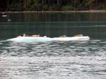 Prince William Sound 26 Glacier Cruise